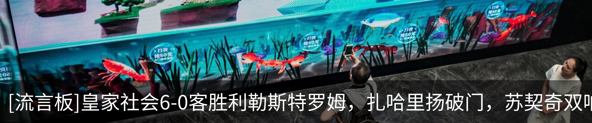 最新动态